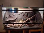 Terrarium te koop, Dieren en Toebehoren, Reptielen en Amfibieën | Toebehoren, Ophalen