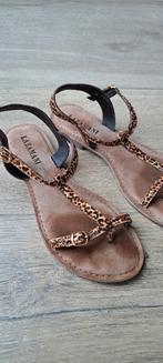 Mooie sandalen (merk: Lazamani) maat 41, Kleding | Dames, Schoenen, Overige kleuren, Lazamani, Gedragen, Sandalen of Muiltjes
