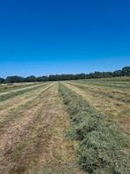 Hooi Voordroog ronde balen, Dieren en Toebehoren, Dierenvoeding, Ophalen of Verzenden