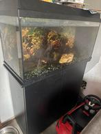 Juwel 125 aquarium met kast, Dieren en Toebehoren, Ophalen of Verzenden, Leeg aquarium