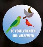 Frituur frituurvet oliebol, Diversen, Levensmiddelen, Ophalen of Verzenden