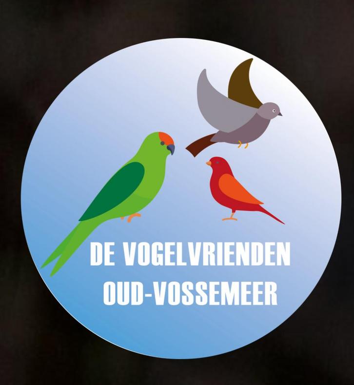 Frituur frituurvet oliebol, Diversen, Levensmiddelen, Ophalen of Verzenden