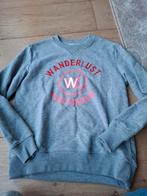 Wanderlust Trui Grijs Maat S, Wanderlust, Ophalen of Verzenden, Maat 36 (S), Grijs