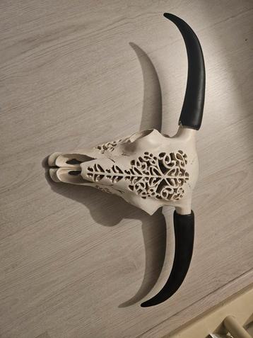 Namaak schedel Ibiza style met licht beschikbaar voor biedingen
