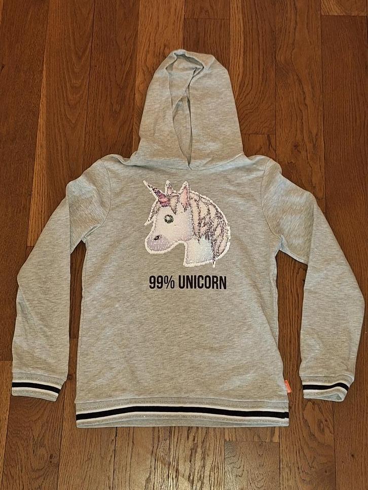 Hoodie unicorn maat 158/164, Kinderen en Baby's, Kinderkleding | Maat 158, Gebruikt, Meisje, Trui of Vest, Ophalen of Verzenden