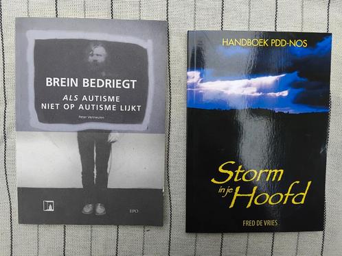 Storm in je hoofd en Brein bedriegt, Boeken, Advies, Hulp en Training, Zo goed als nieuw, Ophalen of Verzenden