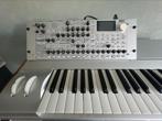 Korg Radias virtueel-analoge synth, Korg, Zo goed als nieuw, Met midi-aansluiting, Ophalen
