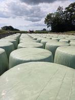 maisbalen oogst 2024, Dieren en Toebehoren, Ophalen, Vee