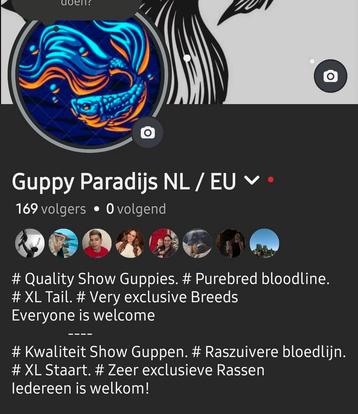 Speciale Raszuiver Guppen! zeer exclusieve. beschikbaar voor biedingen