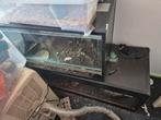terarium, Dieren en Toebehoren, Reptielen en Amfibieën | Toebehoren, Ophalen of Verzenden