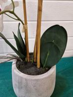 kunstorchidee in pot, Ophalen of Verzenden, 'T Olde Gre-j, Info@toldegrej.nl, Endepoelstraat 20f Didam