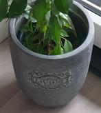 Te koop gevraagd bloempot living, Tuin en Terras, Bloempotten, Ophalen, Rond, Zo goed als nieuw, Aardewerk