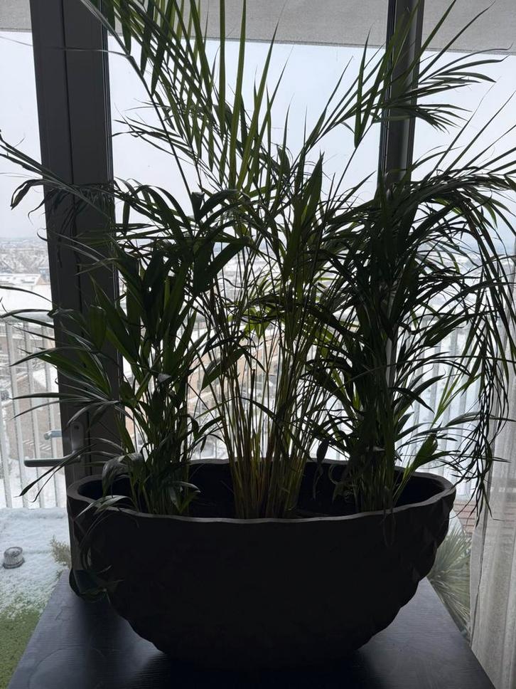 Ovaal bloempot roest, Tuin en Terras, Bloempotten, Ophalen