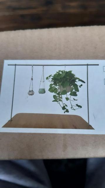 Gouden Tafeldecoratie Stang - Nieuw in Doos beschikbaar voor biedingen