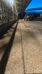 melkstalvloeren en voergoten Coaten, Dieren en Toebehoren, Runderen, Meerdere dieren