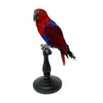 BEKIJK ONLINE ONZE GEHELE COLLECTIE OPGEZETTE VOGELS!!!, Verzamelen, Dierenverzamelingen, Ophalen of Verzenden, Nieuw, Vogel, Opgezet dier