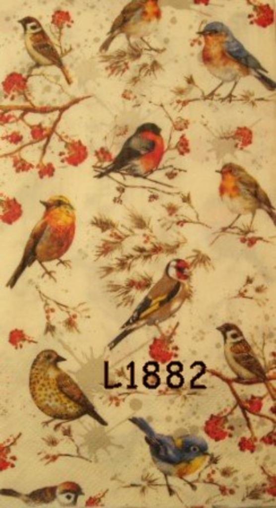 Servetten decoupage/bullet journal * Vogels L1882, Hobby en Vrije tijd, Knutselen, Nieuw, Materiaal, Verzenden