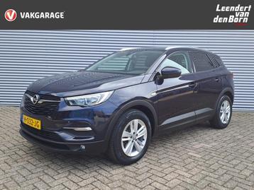 Opel Grandland X 1.2 Turbo Business Executive | Trekhaak | A beschikbaar voor biedingen