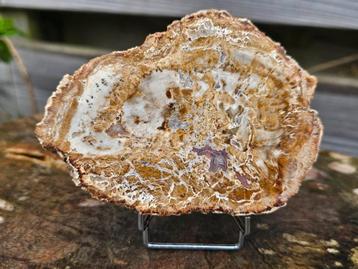 Gave versteend hout schijf met druzy 335 gram beschikbaar voor biedingen