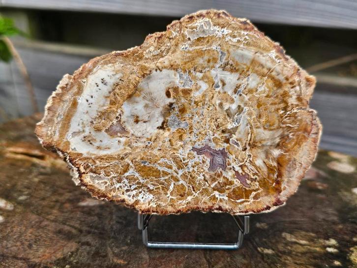 Gave versteend hout schijf met druzy 335 gram, Verzamelen, Mineralen en Fossielen, Ophalen of Verzenden