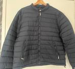 Dan John blauw gewatteerd jack nieuw maat XXL, Blauw, Nieuw, Overige maten, Ophalen of Verzenden