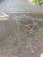 Haardhout ongezaagd, Tuin en Terras, Haardhout, 3 tot 6 m³, Ophalen, Overige houtsoorten, Stammen
