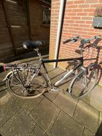 Koga Miyata herenfiets., Ophalen, Gebruikt, Overige merken, Versnellingen