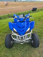 Yamaha Raptor 350 Quad met Kenteken, Motoren, 1 cilinder, 12 t/m 35 kW
