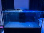 Red sea reefer 350, Dieren en Toebehoren, Vissen | Aquaria en Toebehoren, Ophalen, Gebruikt, Leeg aquarium