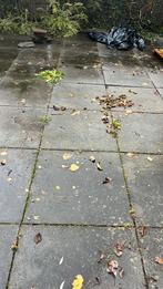 Oud-Hollandse tegel 80  80, Tuin en Terras, Tegels en Klinkers, Ophalen of Verzenden, Zo goed als nieuw, Beton, Terrastegels