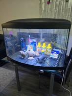 Ferplast cayman scenic 150 liter aquarium + toebehoren, Ophalen of Verzenden, Zo goed als nieuw, Leeg aquarium