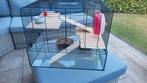 Hamsterhok glas en tralies, Dieren en Toebehoren, Knaagdieren en Konijnen | Hokken en Kooien, Minder dan 75 cm, Ophalen, Minder dan 60 cm