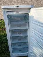 Liebherr vriezer no frost A+, Witgoed en Apparatuur, Vrieskast, Zo goed als nieuw, Energieklasse A of zuiniger, 160 cm of meer