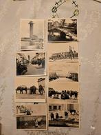 Soevenier Mapje met oude ansichtkaarten Diergaarde Blijdorp, Verzamelen, Foto's en Prenten, Gebruikt, Foto, Ophalen of Verzenden