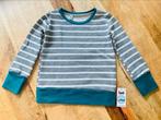 Sweater silver stripe van Lot mt 110/116 én 146/152 (char), Kinderen en Baby's, Kinderkleding | Overige, Nieuw, Jongen of Meisje