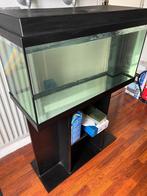 Juwel Aquarium Primo 110 - 81x36x45 cm Zwart Ca. 110 L, Gebruikt, Ophalen, Leeg aquarium