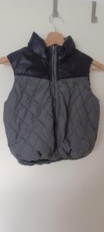 bodywarmer Zara maat 122, Overige typen, Meisje, Zo goed als nieuw, Diverse merken