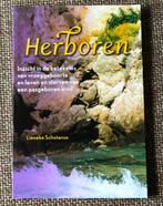 Herboren Lieneke Schotanus, Boeken, Achtergrond en Informatie, Spiritualiteit algemeen, Ophalen of Verzenden, Zo goed als nieuw