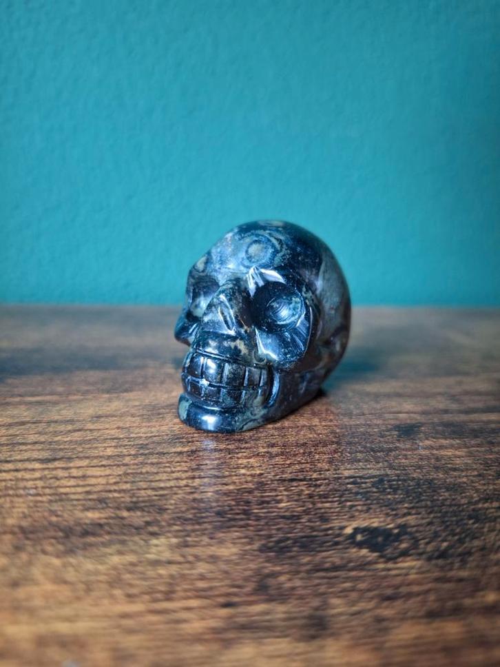 Skull kambaba jaspis, Verzamelen, Mineralen en Fossielen, Verzenden