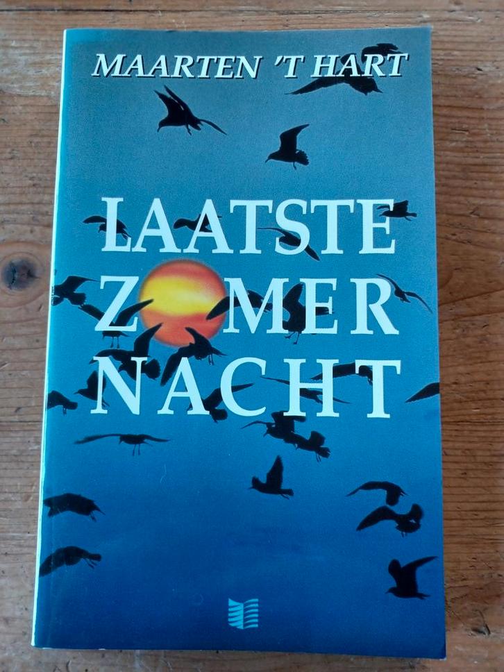 Laatste Zomernacht - Maarten 't Hart, Boeken, Romans, Ophalen of Verzenden