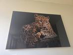 Mooi schilderijen te koop, Antiek en Kunst, Ophalen of Verzenden