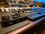 Korg Pa1000 Keyboard met SD card en pedal., Ophalen, Korg, Overige aantallen, Zo goed als nieuw