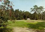 Camping Harskamperdennen - gelopen, Ophalen of Verzenden, 1960 tot 1980, Gelopen, Overijssel