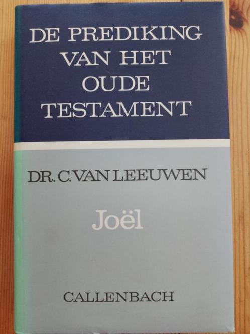C. van Leeuwen, Joël (serie Prediking van het Oude Testament, Boeken, Godsdienst en Theologie, Gelezen, Christendom | Protestants