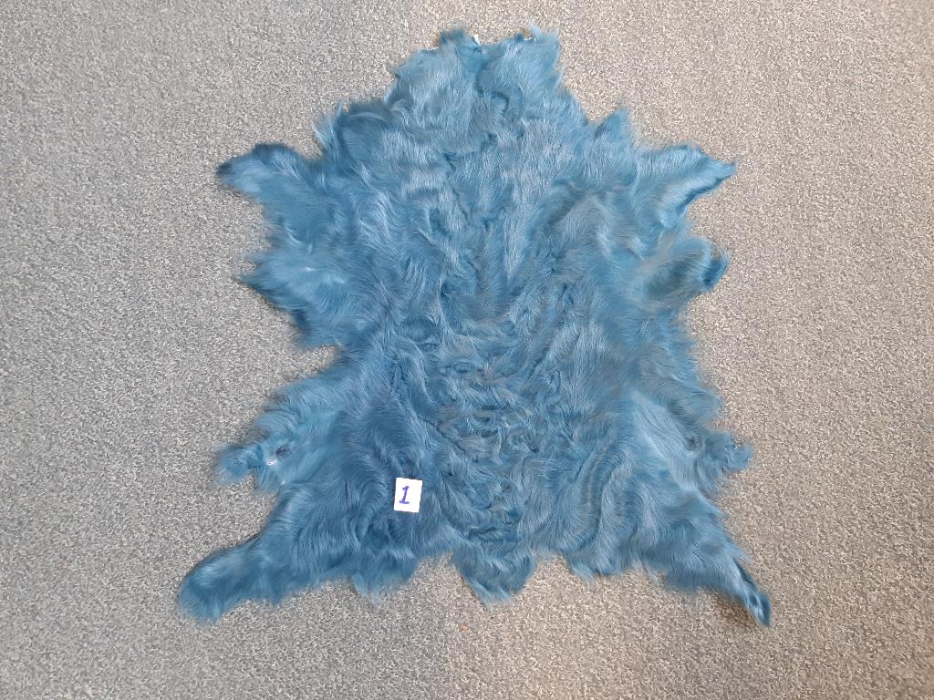 Lamshuiden Chekianglam Schaap Turquoise Mooie vellen 50 cm, Ophalen of Verzenden, Nieuw