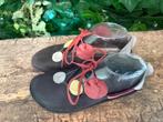 Nieuwe instappers van Loints of Holland maat 36, Kleding | Dames, Schoenen, Loints of holland, Nieuw, Instappers, Zwart