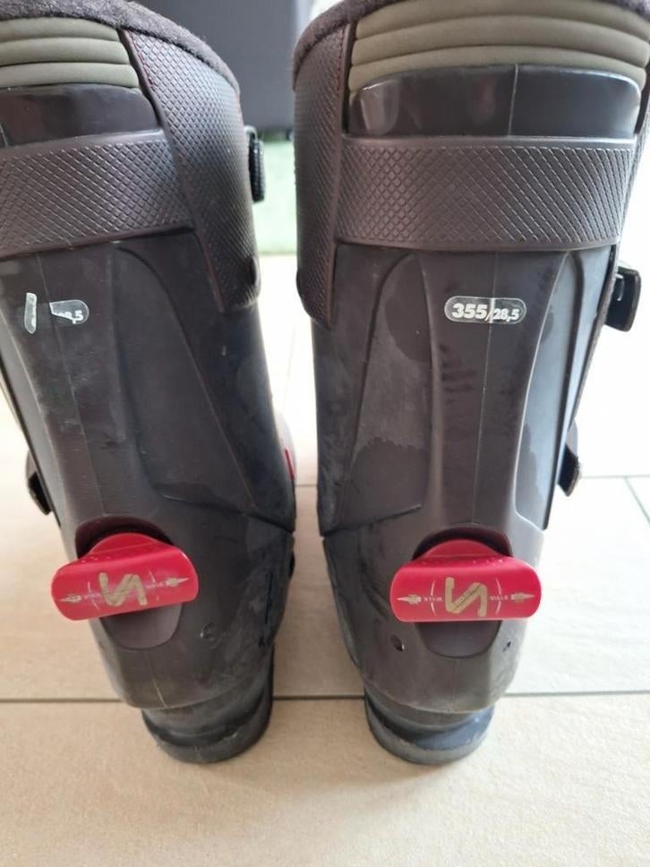 Salomon Skischoenen - Maat 355/24.5, Gebruikt, Schoenen, Skiën, Salomon