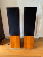 Luidsprekers Linn Keilidh, Audio, Tv en Foto, Luidsprekers, Gebruikt, 60 tot 120 watt, Front, Rear of Stereo speakers, Ophalen