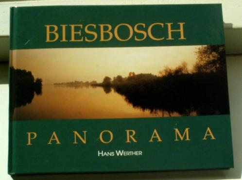 Biesbosch panorama, Hans Werther, ISBN 9075703023., Boeken, Natuur, Zo goed als nieuw, Ophalen of Verzenden