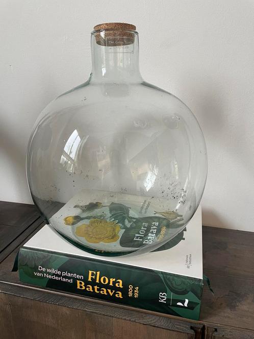 Handgeblazen fles of stolp voor ecosysteem of mooie vaas, Huis en Inrichting, Woonaccessoires | Stolpen, Gebruikt, Ophalen
